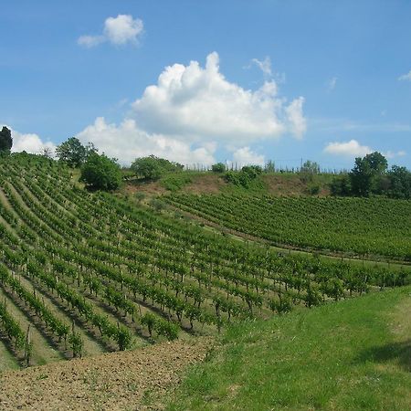Agriturismo Gaggioli Borgo Delle Vigne Дзола-Предоза Экстерьер фото