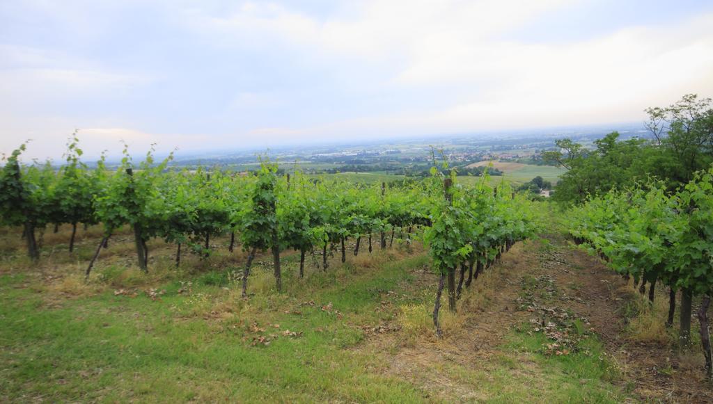 Agriturismo Gaggioli Borgo Delle Vigne Дзола-Предоза Экстерьер фото